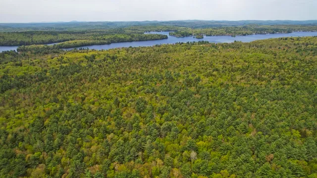a view of a lake with a yard