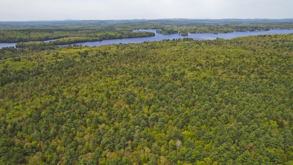 0 Curtis Hall Road Blandford, MA 01008 - Photo 11 of 17 a view of an outdoor space and a lake view