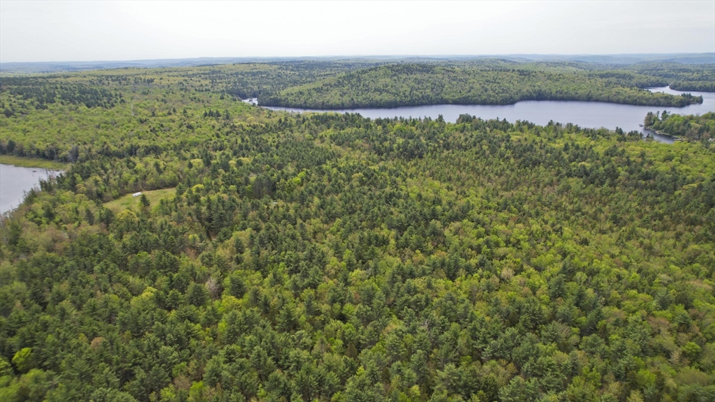 0 Curtis Hall Road Blandford, MA 01008 - Photo 12 of 17 a view of a lake with a city