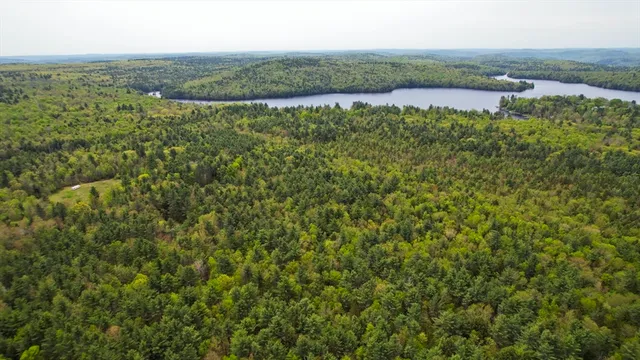 wooden floor with a bench and a painting on the wall