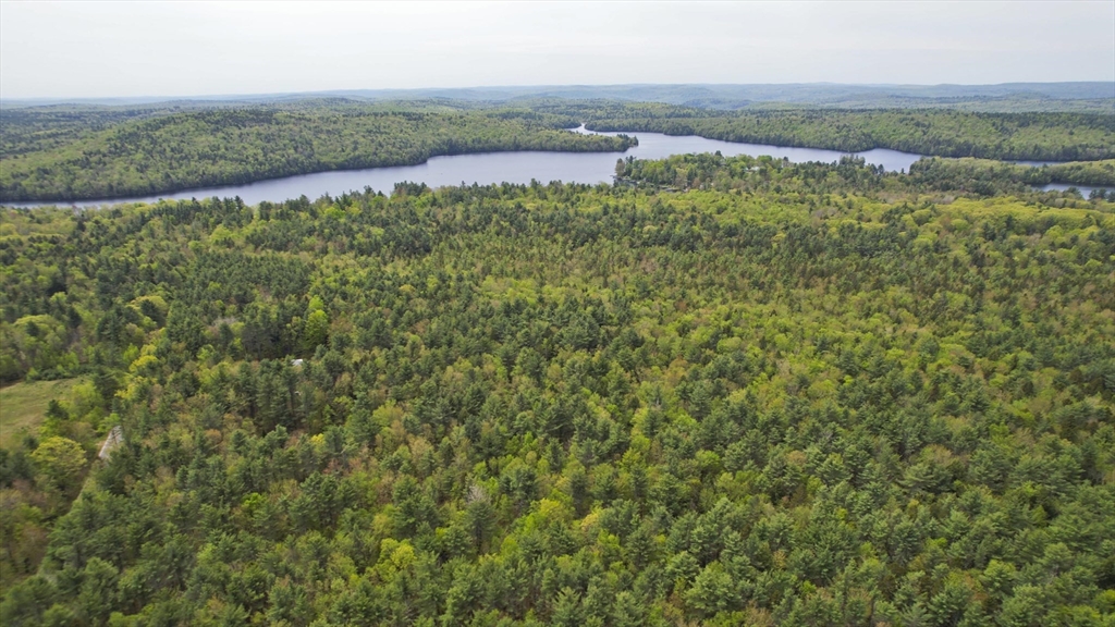 0 Curtis Hall Road Blandford, MA 01008 - Photo 14 of 17 a view of a lake with a yard