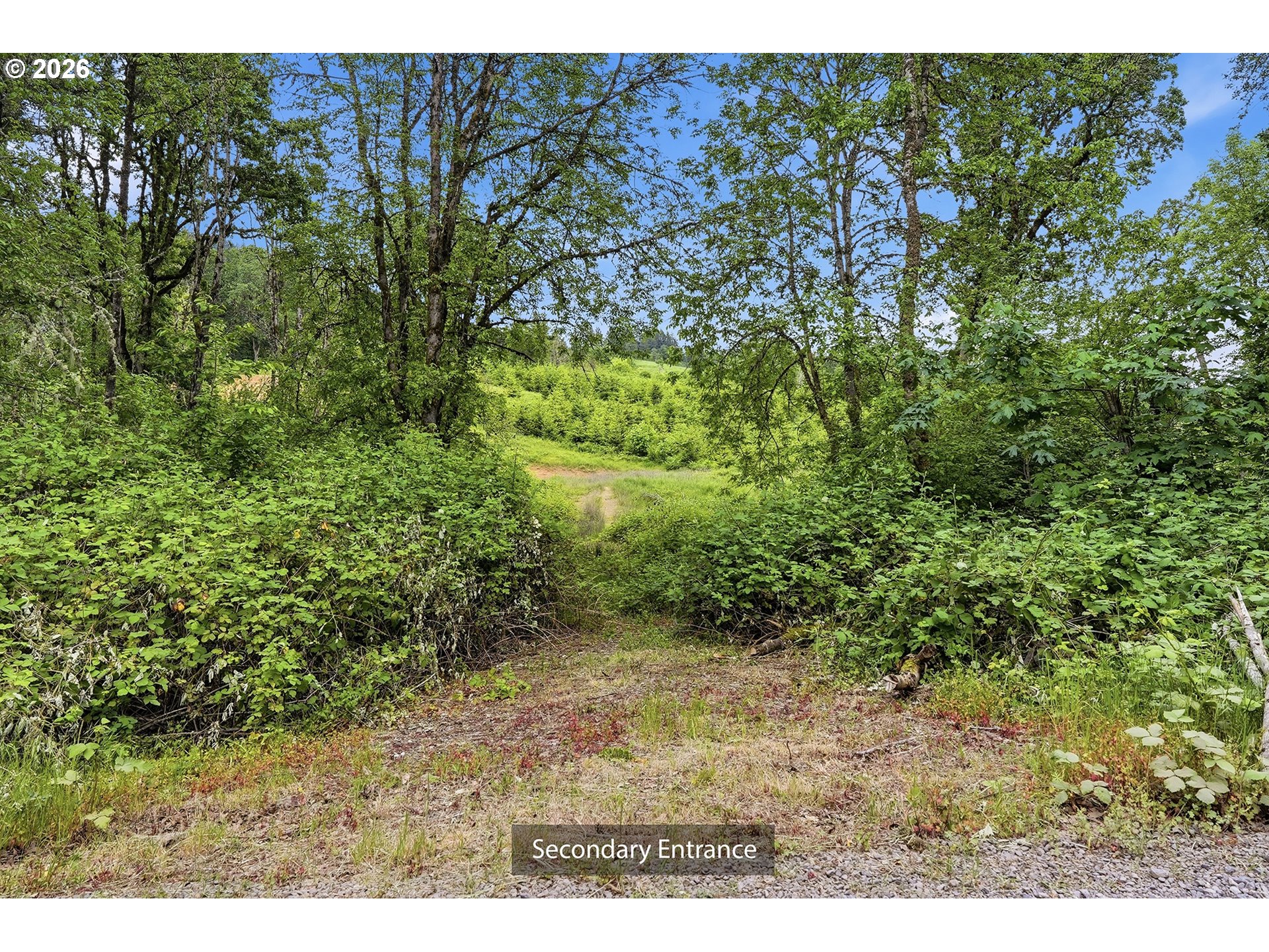 16070 Southwest Pit Road Hillsboro, OR 97123 - Photo 28 of 33 Driveway