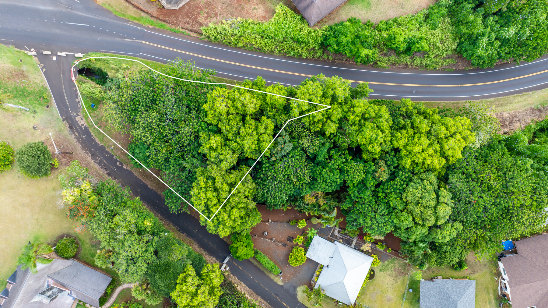 2804 Wehe Road Lihue, HI 96766 - Photo 15 of 29 a view of a yard with plants