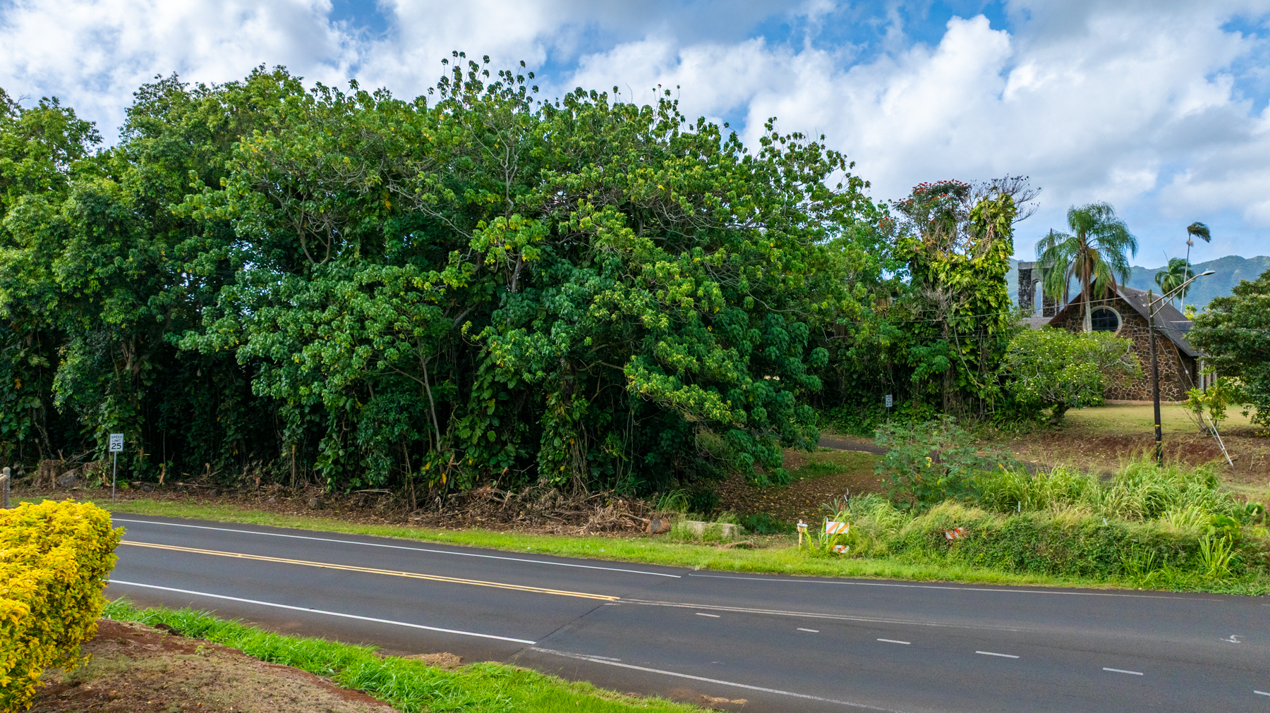 2804 Wehe Road Lihue, HI 96766 - Photo 16 of 29 a view of a yard