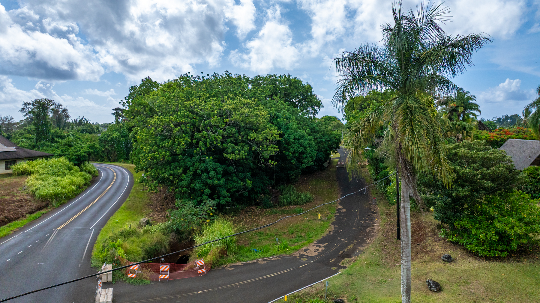 2804 Wehe Road Lihue, HI 96766 - Photo 17 of 29 a backyard of a house with lots of green space