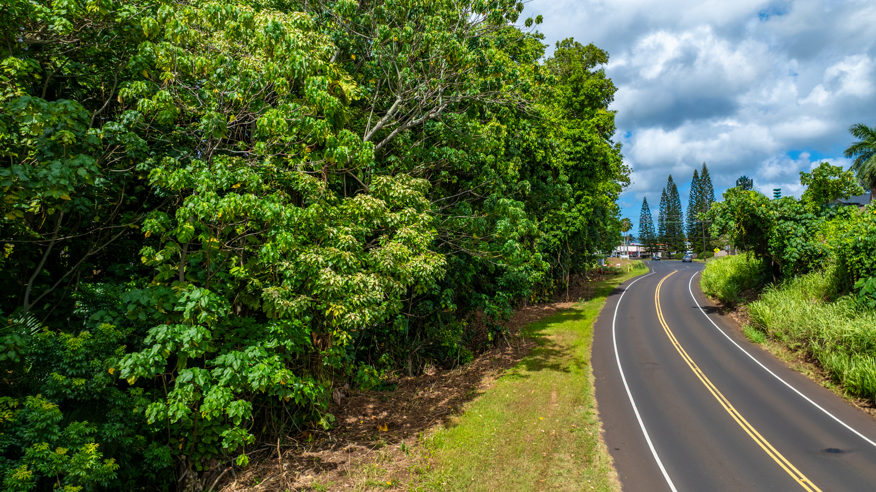 2804 Wehe Road Lihue, HI 96766 - Photo 18 of 29 a view of a yard with potted plants