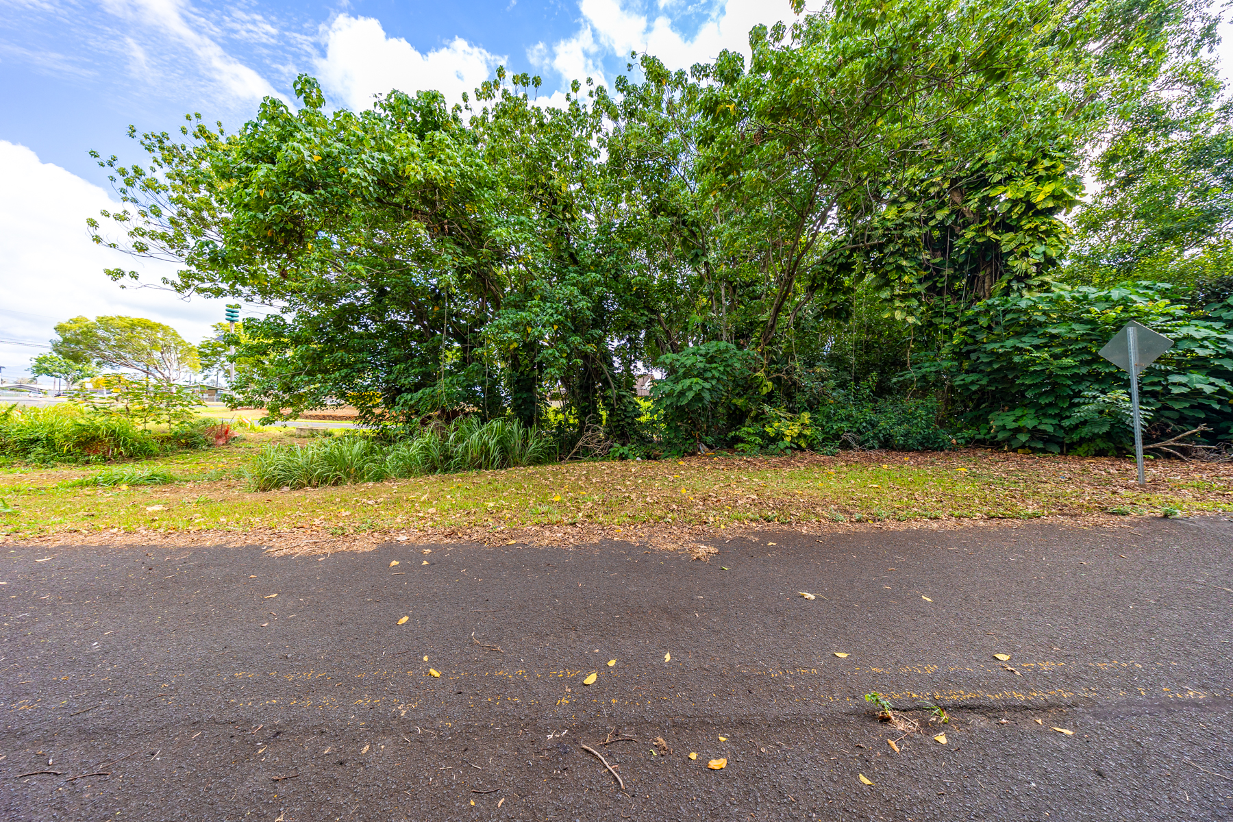 2804 Wehe Road Lihue, HI 96766 - Photo 19 of 29 a view of road and yard