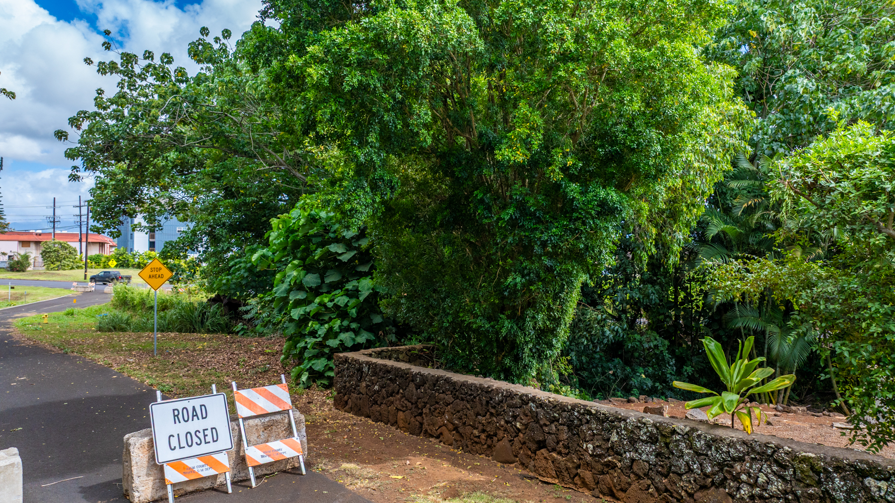 2804 Wehe Road Lihue, HI 96766 - Photo 24 of 29 a view of backyard with seating area and green space