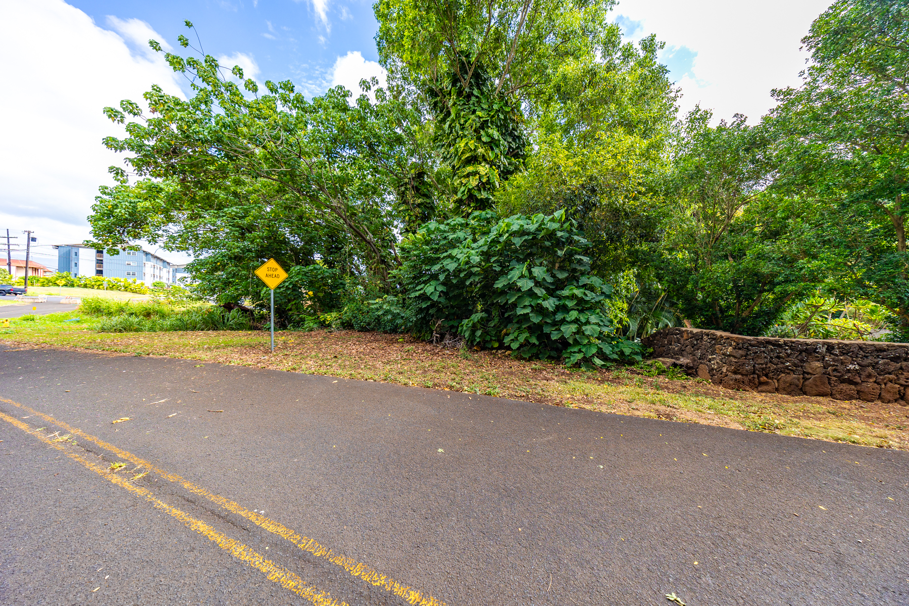 2804 Wehe Road Lihue, HI 96766 - Photo 25 of 29 a view of a road with a yard