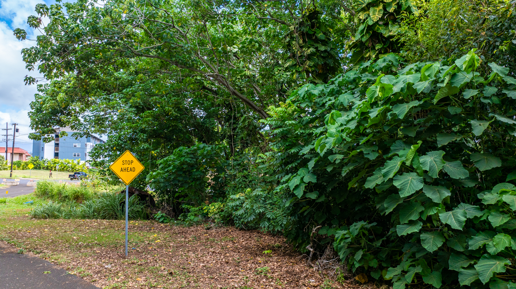 2804 Wehe Road Lihue, HI 96766 - Photo 26 of 29 a flag is sitting in the middle of a park