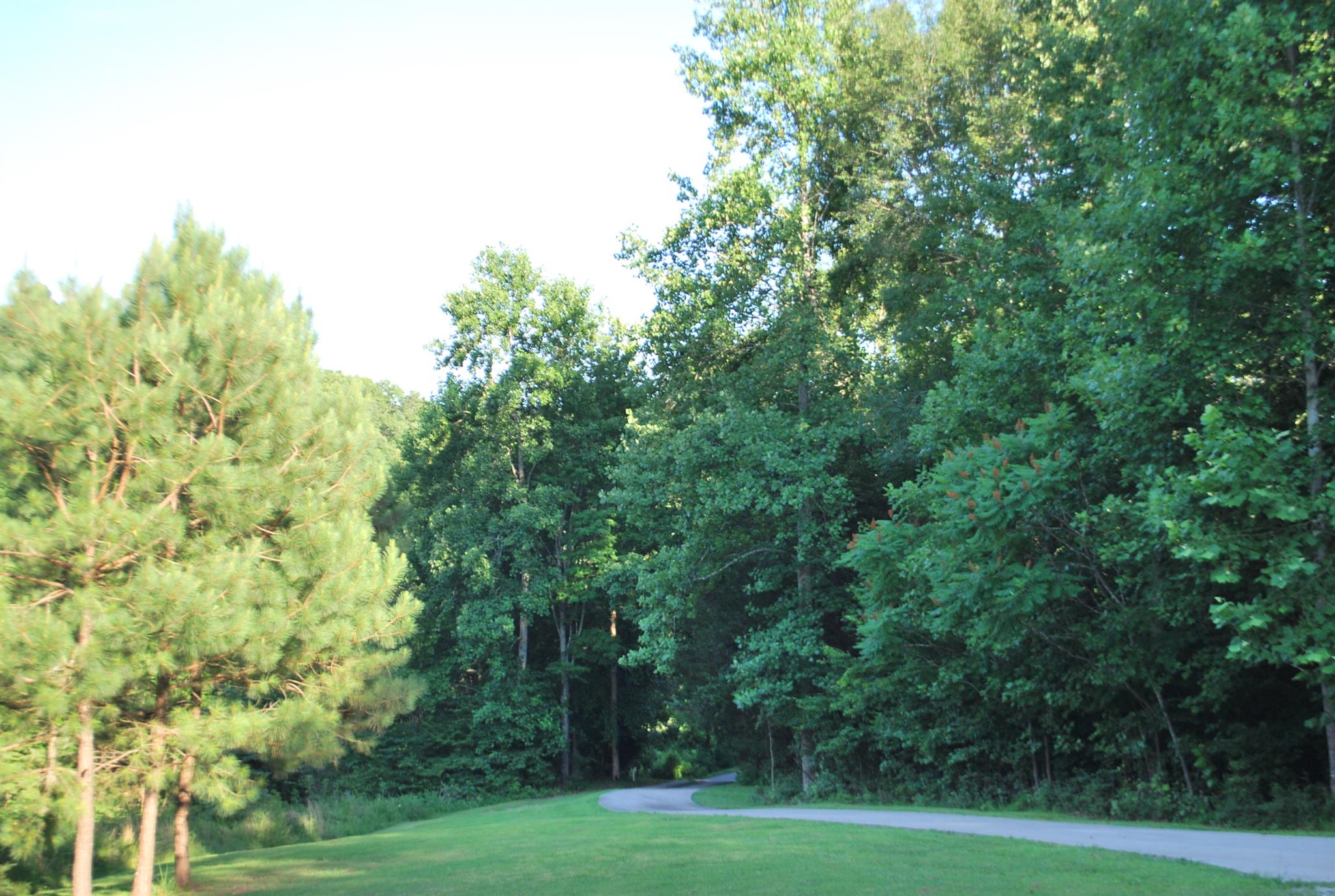 720 Plunders Creek Road Dickson, TN 37055 - Photo 3 of 21 a view of a field with trees