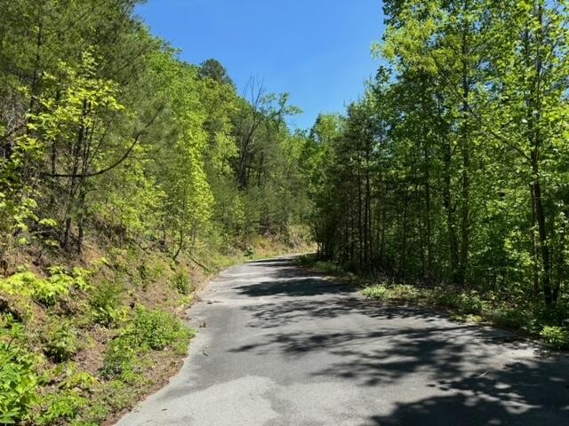 2481 Happy Hollow Road Sevierville, TN 37862 - Photo 17 of 30 Gallery Image 17
