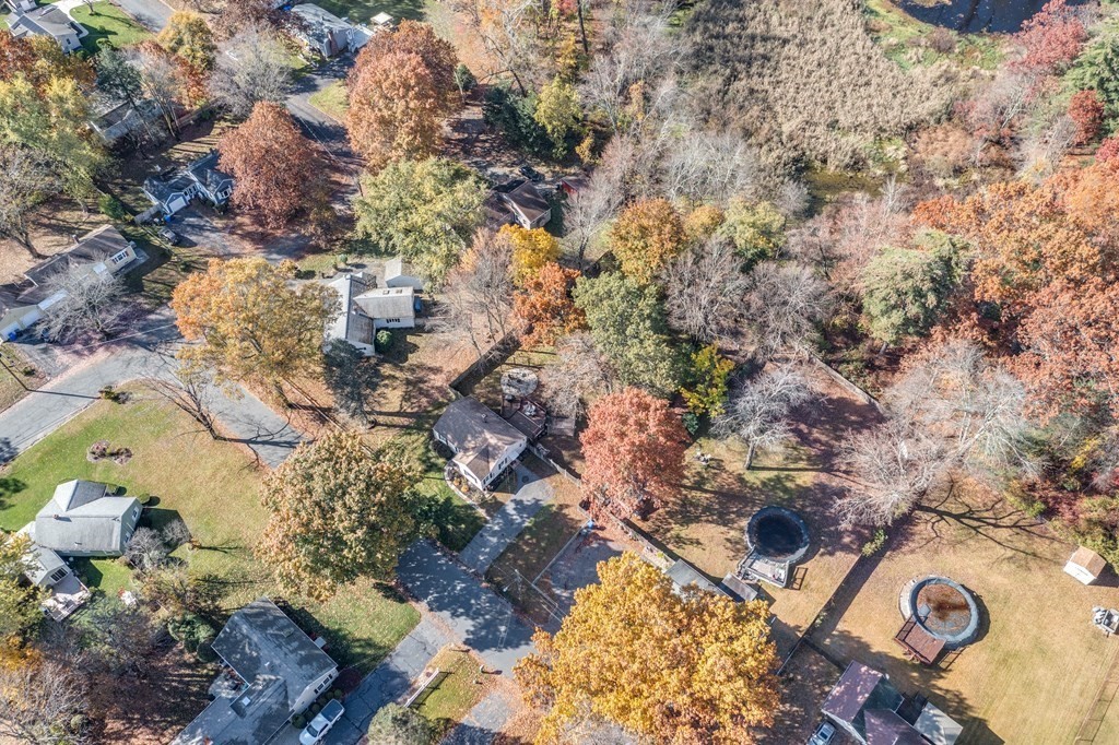 76 Wilshire Road Springfield, MA 01118 - Photo 5 of 34