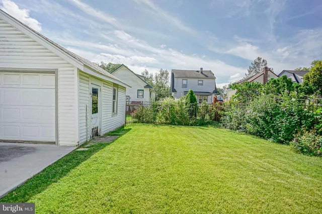 a view of a big yard with plants and large tree