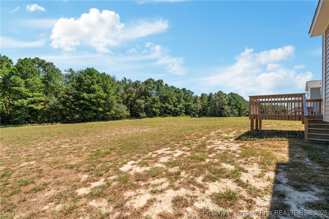 115 Gilchrist Road Carthage, NC 28327 - Photo 41 of 42 a view of a yard with wooden fence