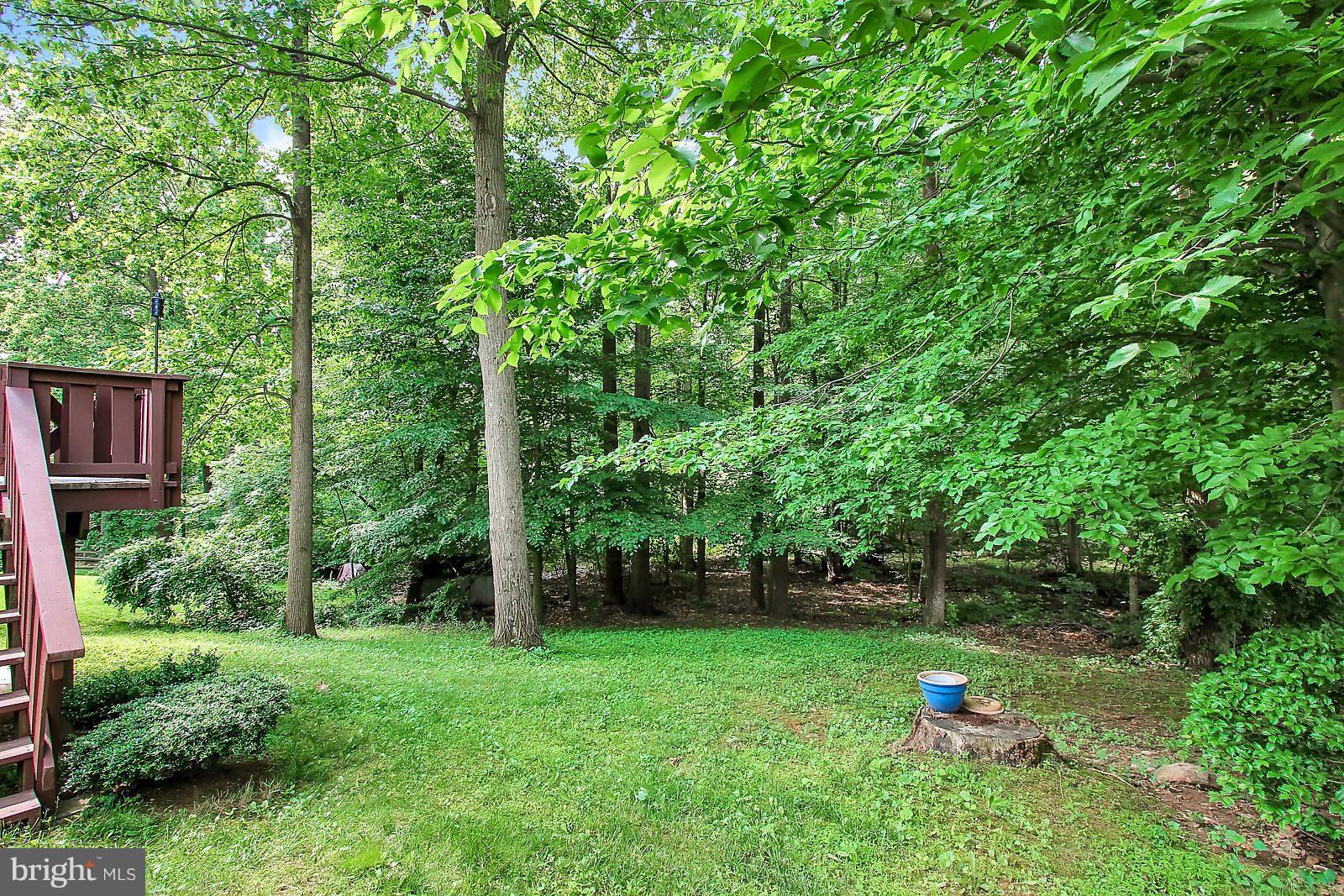 2724 Parallel Path Abingdon, MD 21009 - Photo 21 of 23 Private rear yard with trees