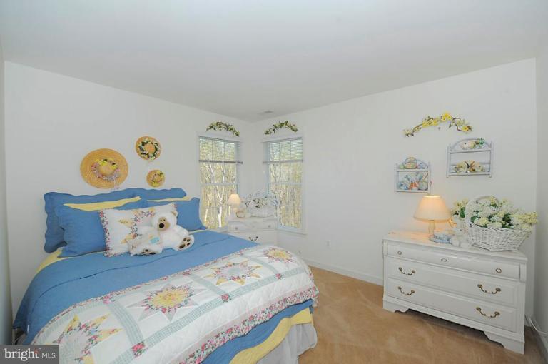 2738 Dunleer Road Ellicott City, MD 21042 - Photo 12 of 29 Bedroom #2