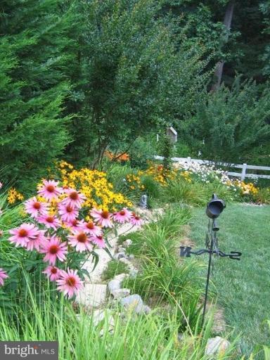2738 Dunleer Road Ellicott City, MD 21042 - Photo 20 of 29 Garden