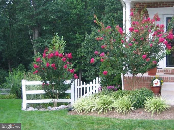 2738 Dunleer Road Ellicott City, MD 21042 - Photo 21 of 29 Garden #2