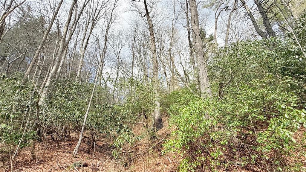 8072 Doublehead Gap Road Blue Ridge, GA 30513 - Photo 26 of 29