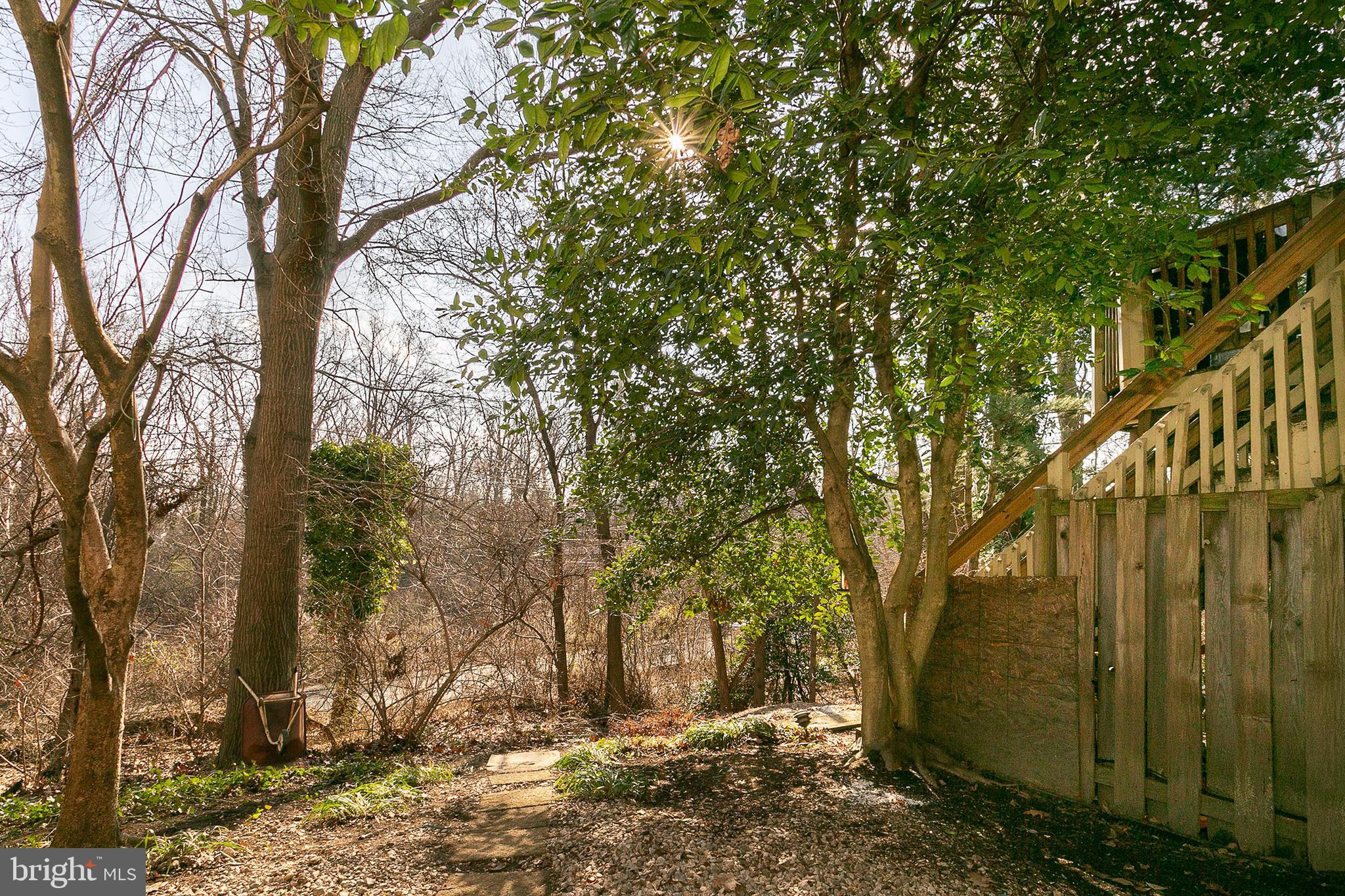 33 Kinsman View Circle Silver Spring, MD 20901 - Photo 24 of 26 a view of a yard with trees