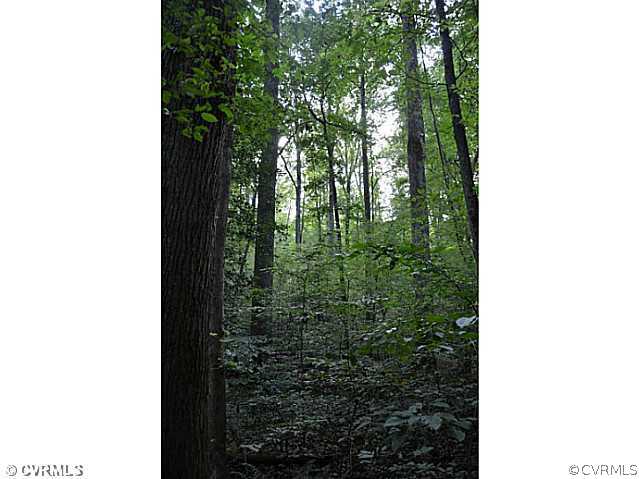7774 Old Roxbury Road Quinton, VA 23141 - Photo 3 of 8 Gallery Image 3