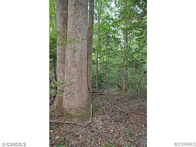 7774 Old Roxbury Road Quinton, VA 23141 - Photo 4 of 8 Gallery Image 4