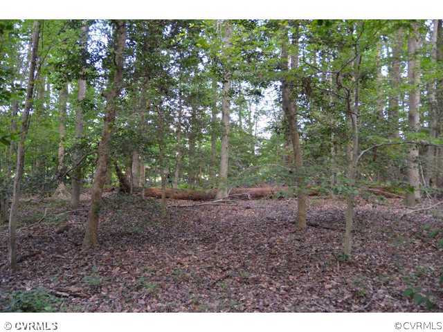 7774 Old Roxbury Road Quinton, VA 23141 - Photo 5 of 8 Gallery Image 5