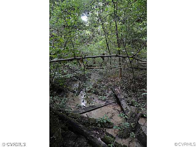 7774 Old Roxbury Road Quinton, VA 23141 - Photo 6 of 8 Gallery Image 6