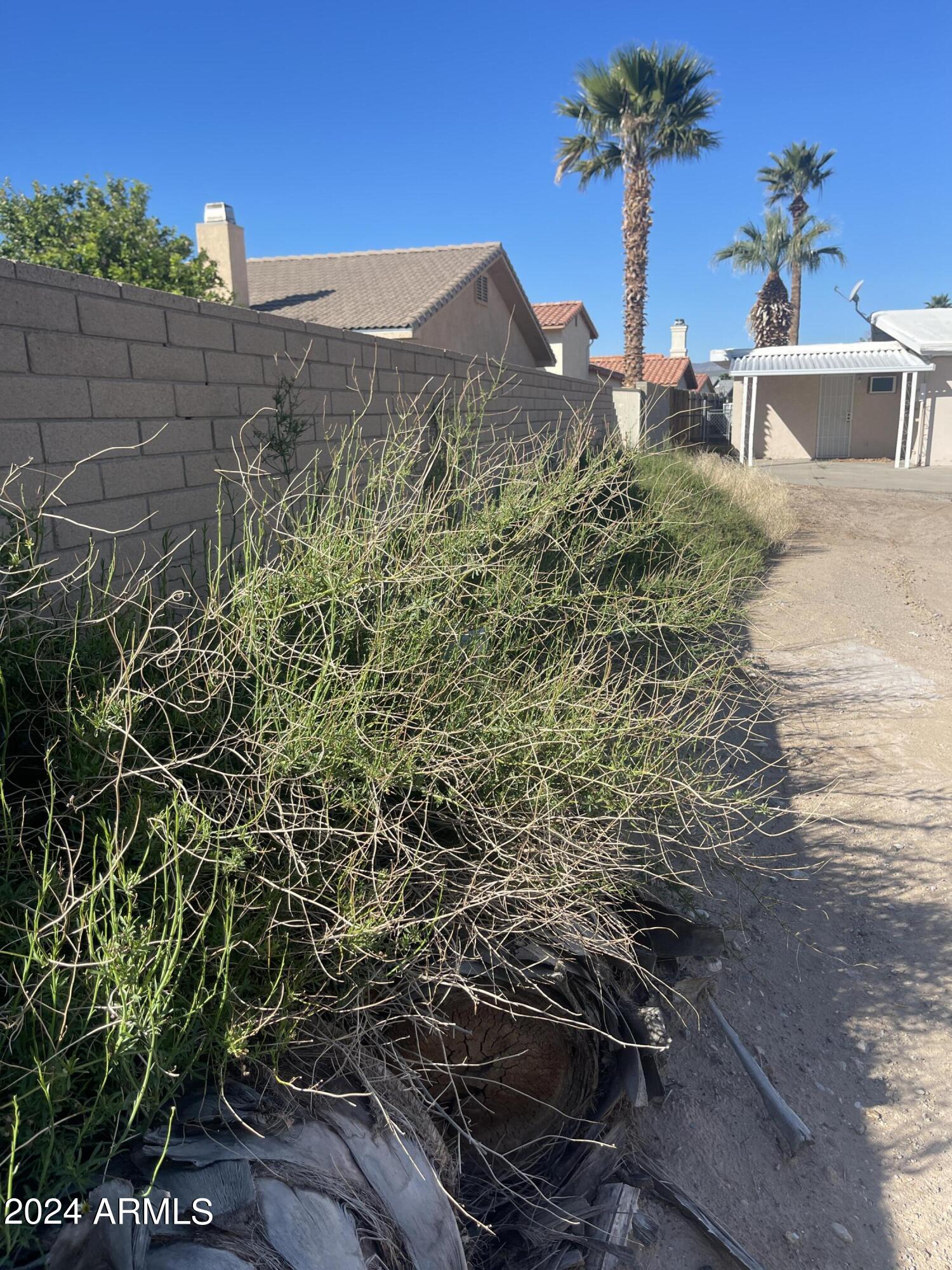 1394 Riverfront Drive, Unit 66 Bullhead City, AZ 86442 - Photo 11 of 11 a view of a backyard