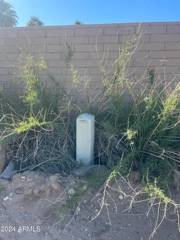 a backyard of a house