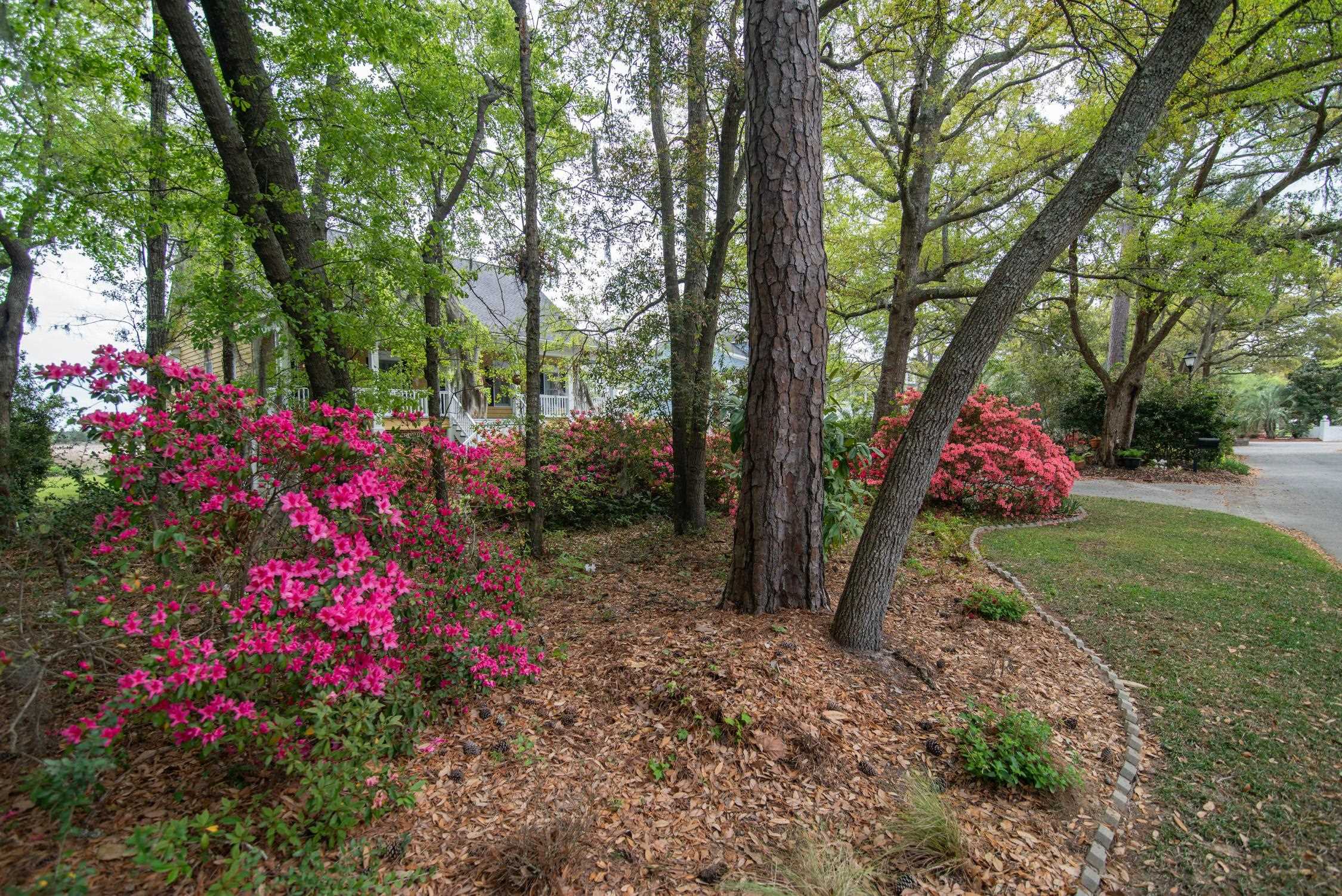75 Pine Grove Lane Georgetown, SC 29440 - Photo 28 of 46
