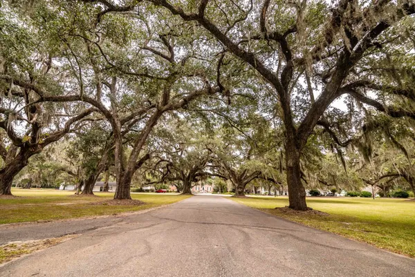 $899,000 | 75 Pine Grove Lane, Georgetown, SC 29440