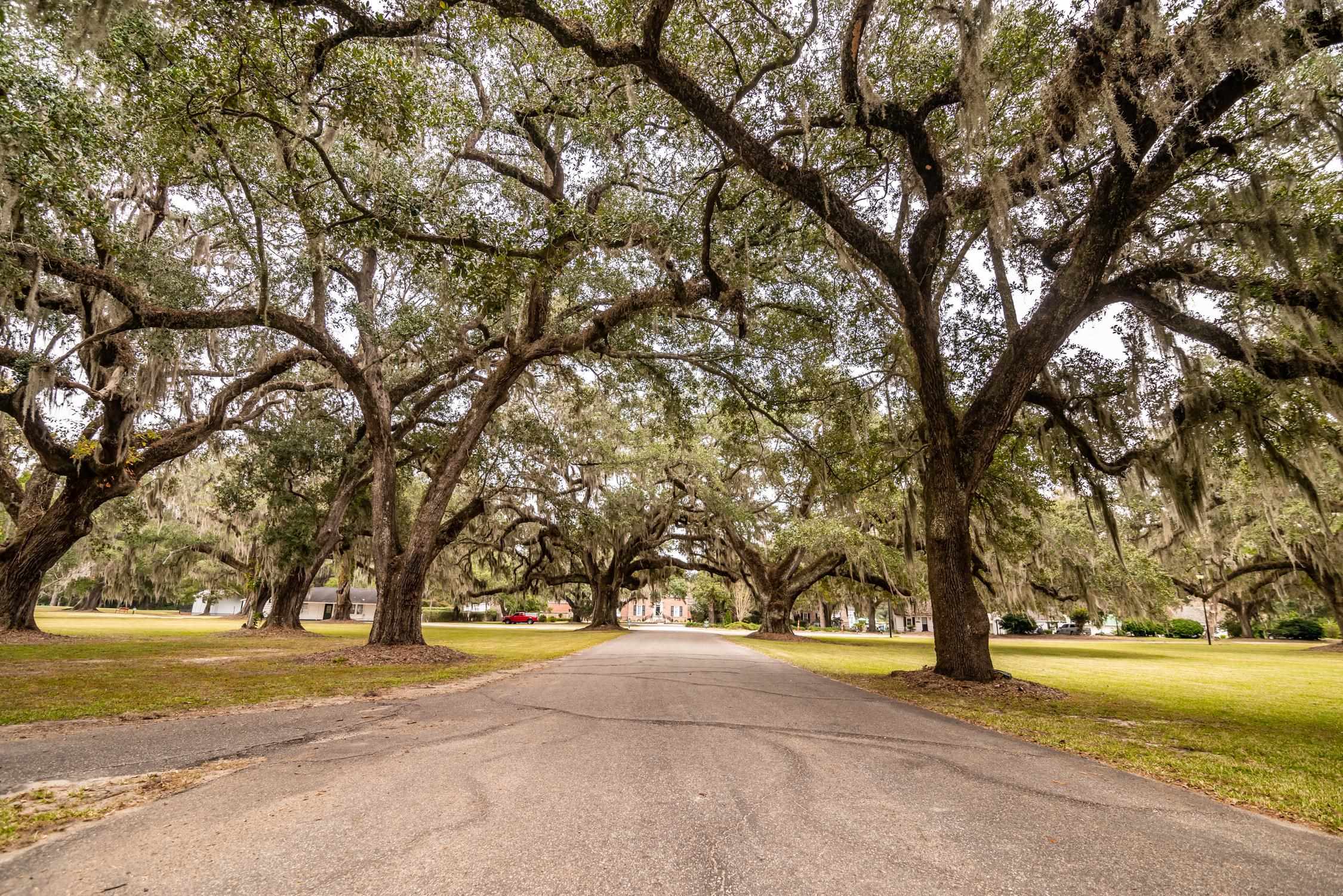 75 Pine Grove Lane Georgetown, SC 29440 - Photo 41 of 46