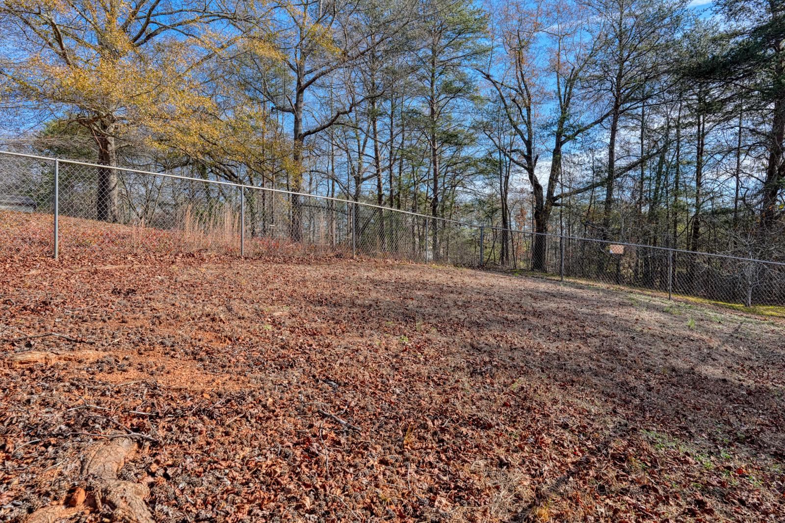 215 South Johnson Street Landrum, SC 29356 - Photo 35 of 39