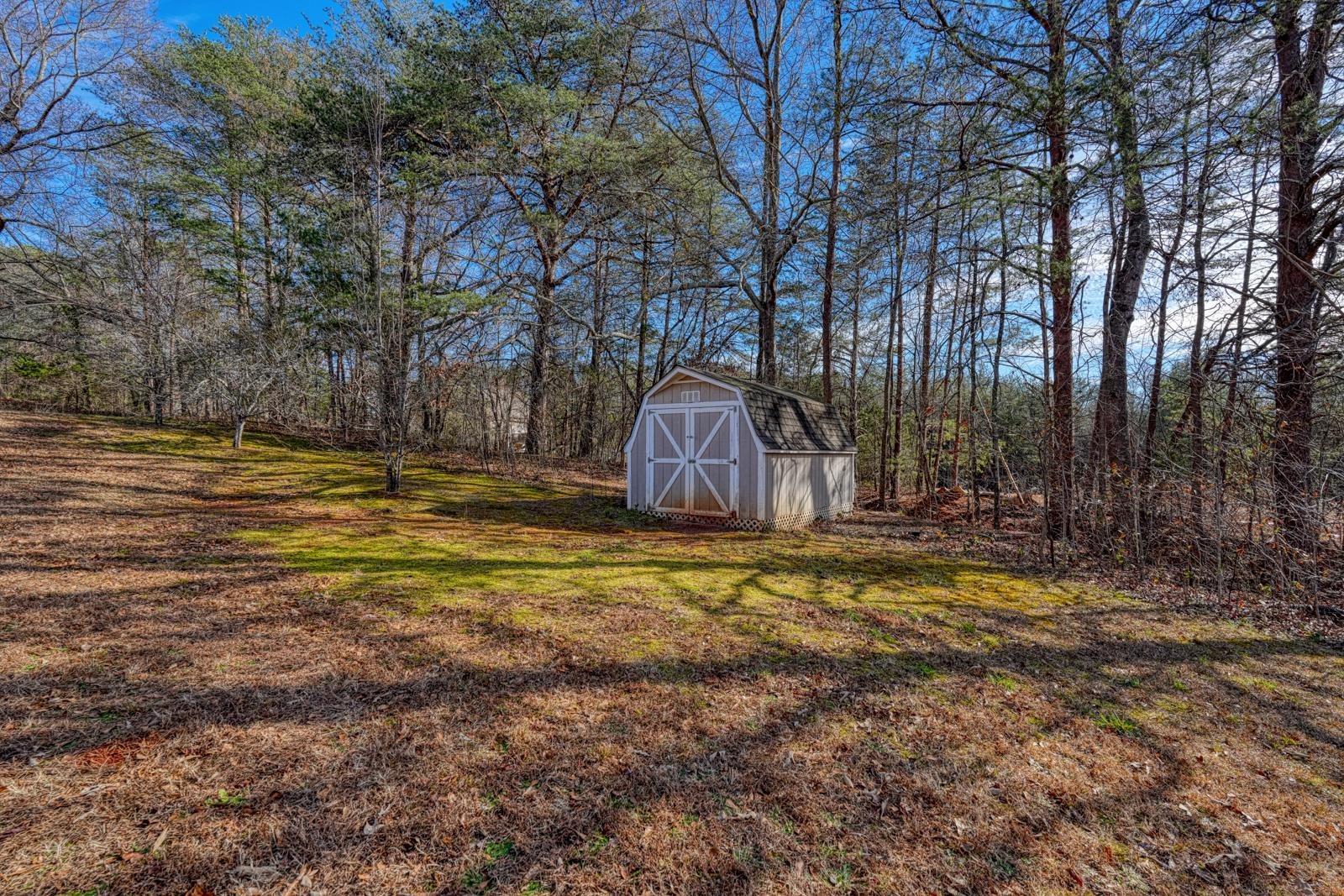 215 South Johnson Street Landrum, SC 29356 - Photo 37 of 39