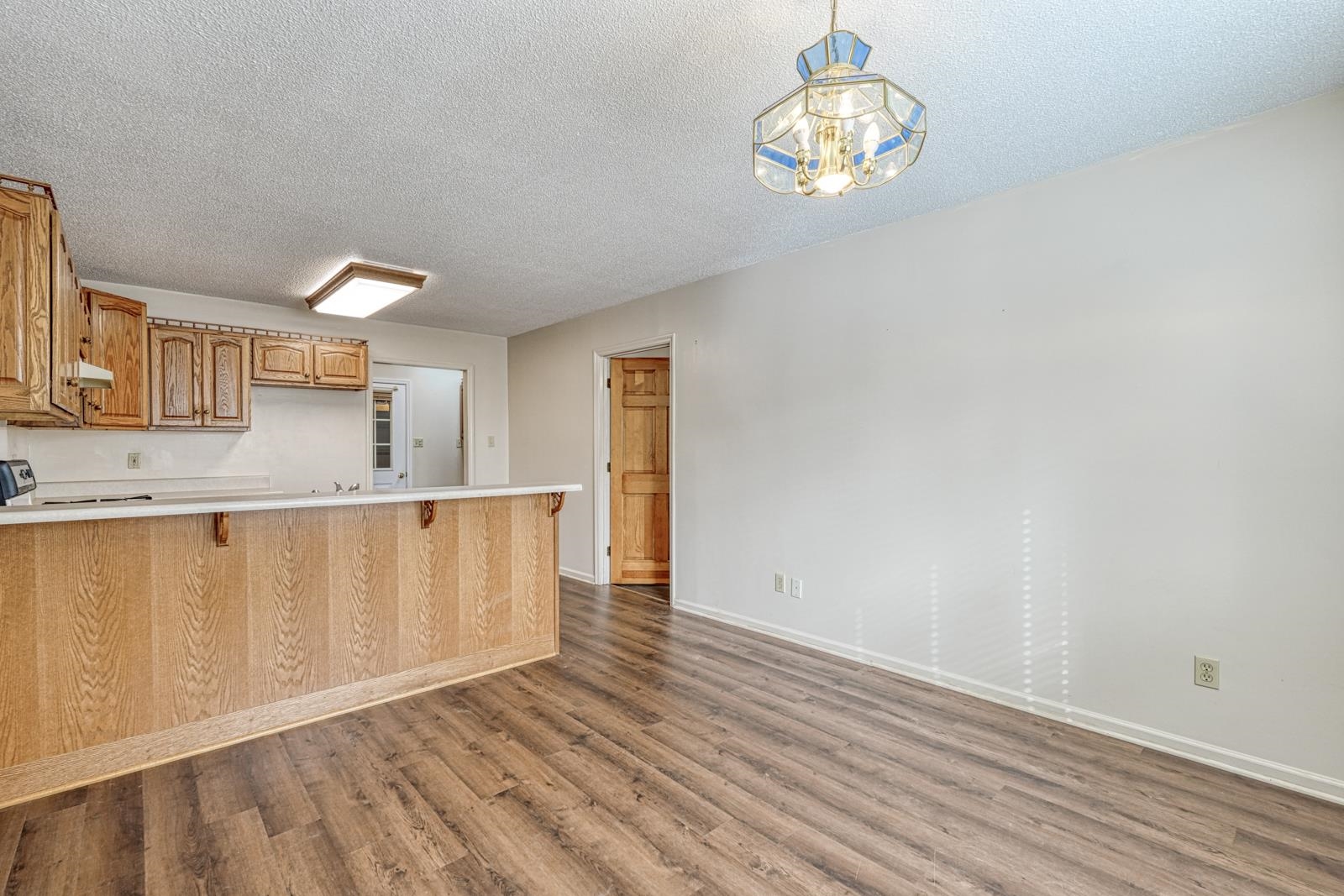 215 South Johnson Street Landrum, SC 29356 - Photo 8 of 39