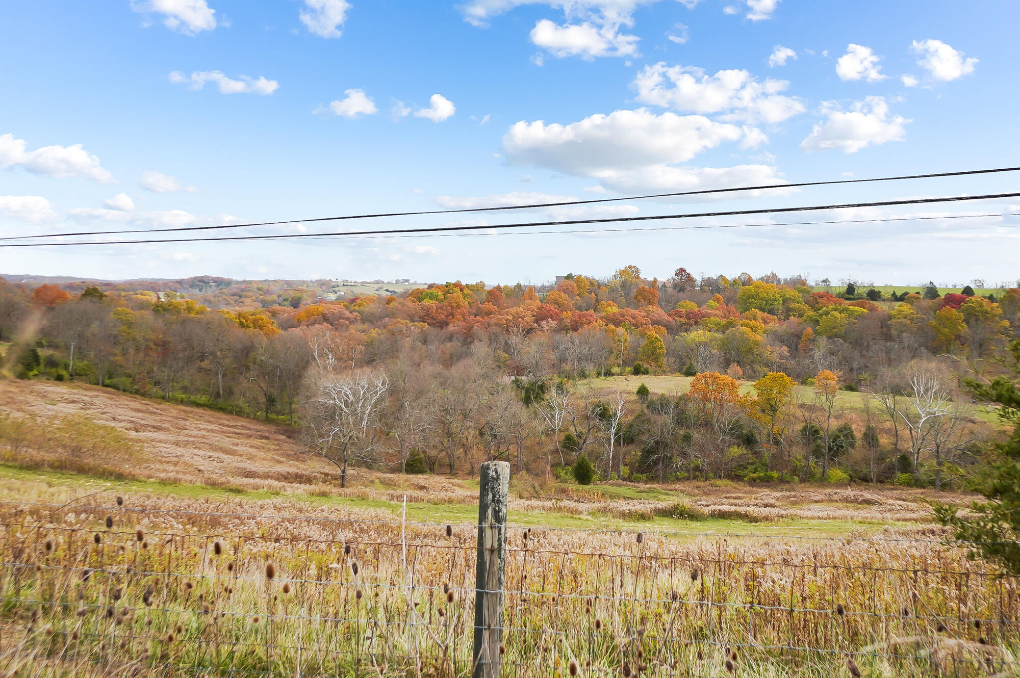 367 Muinn Road Butler, KY 41006 - Photo 26 of 27 Gallery Image 26