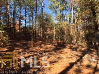 1495 Laurel Branch Road McIntyre, GA 31054 - Photo 1 of 1 Gallery Image 1