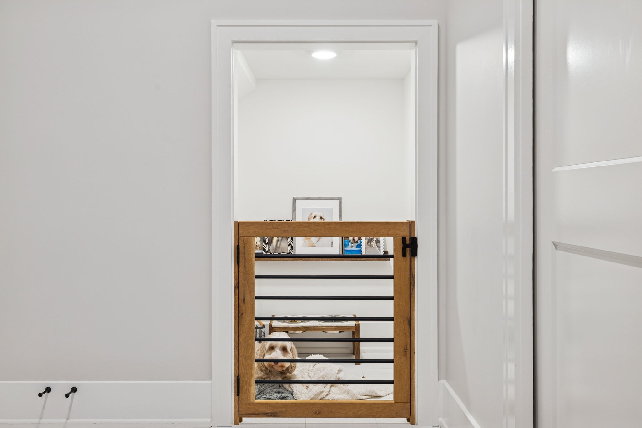 344 Raintree Drive Hendersonville, TN 37075 - Photo 66 of 99