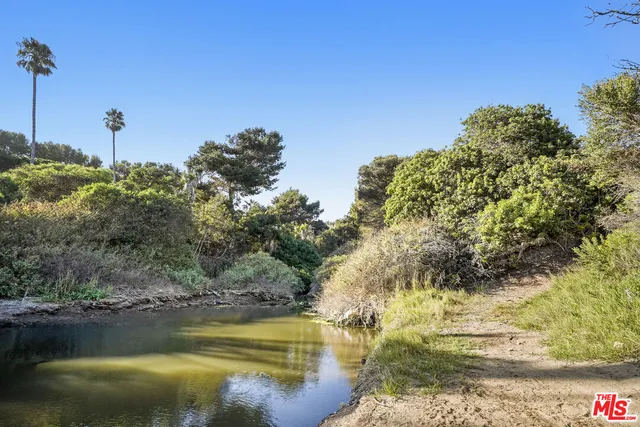 a view of a pathway with a yard