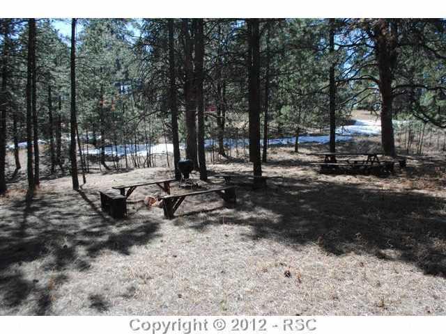 17410 West Goshawk Road Colorado Springs, CO 80908 - Photo 14 of 16 Picnic area, lots of trees for everyone to climb and did you see the firepit for roasting marshmallows.