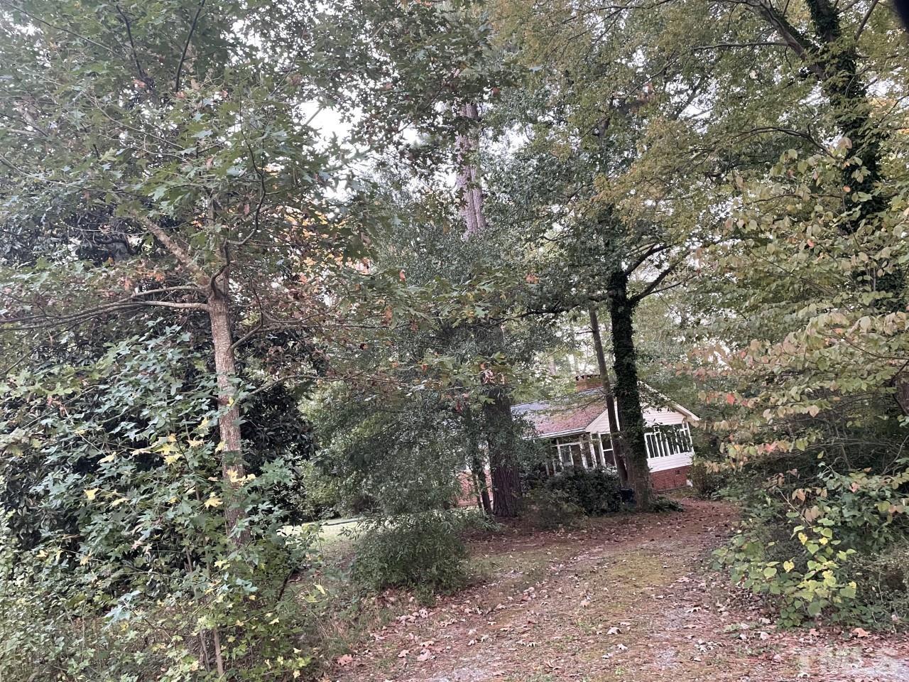 7017 Herndon Road Durham, NC 27713 - Photo 2 of 4 a view of a trees in a forest