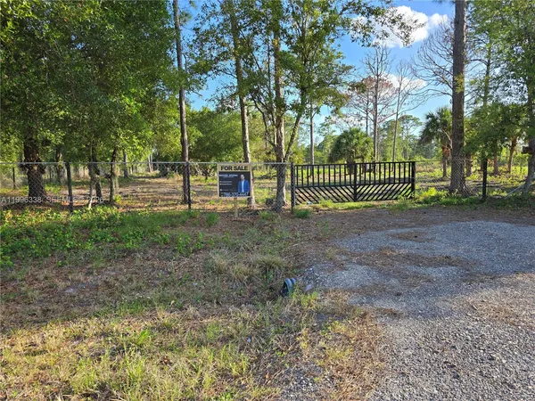 a view of a park with large trees