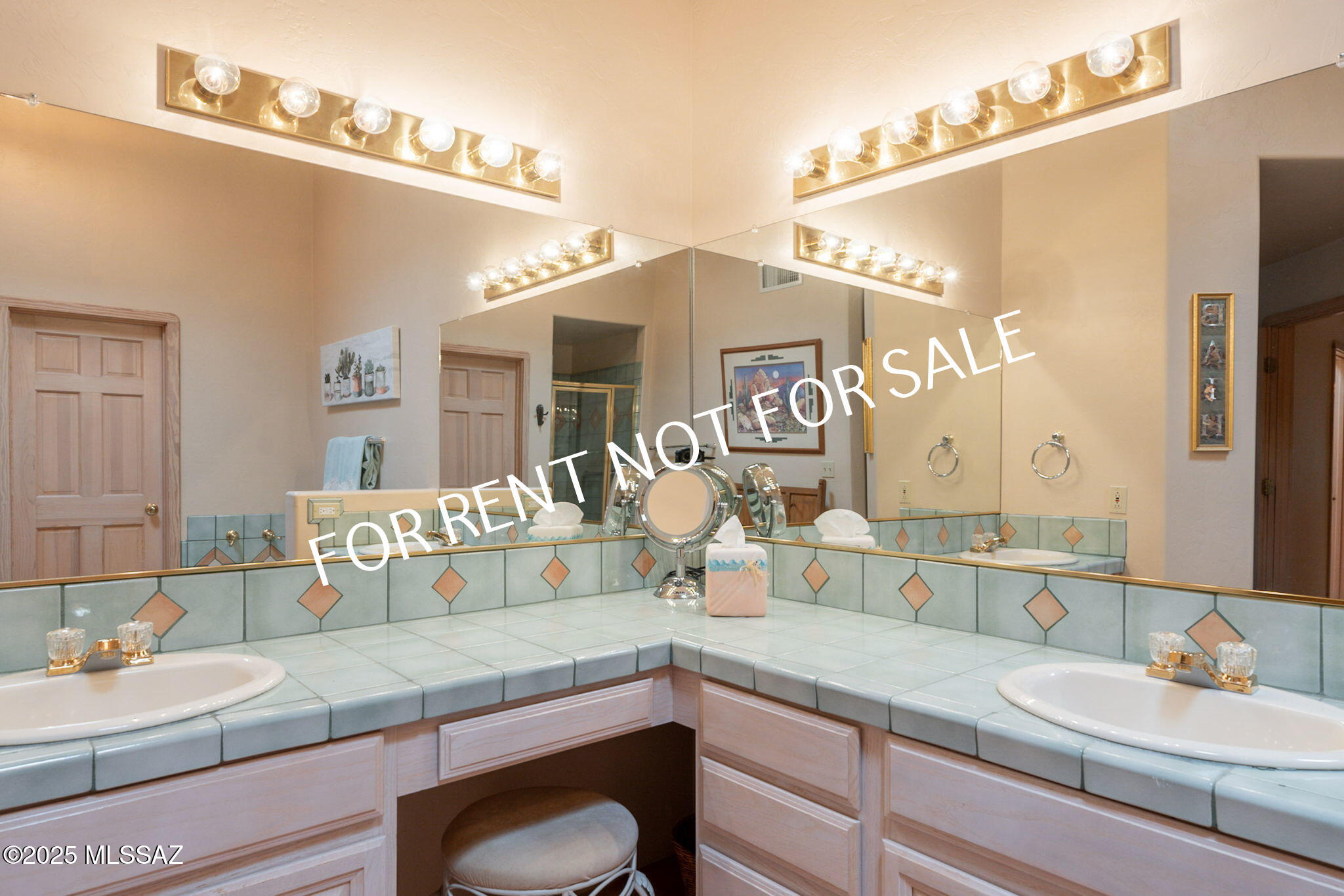 9876 North Ridge Shadow Place Tucson, AZ 85704 - Photo 32 of 48