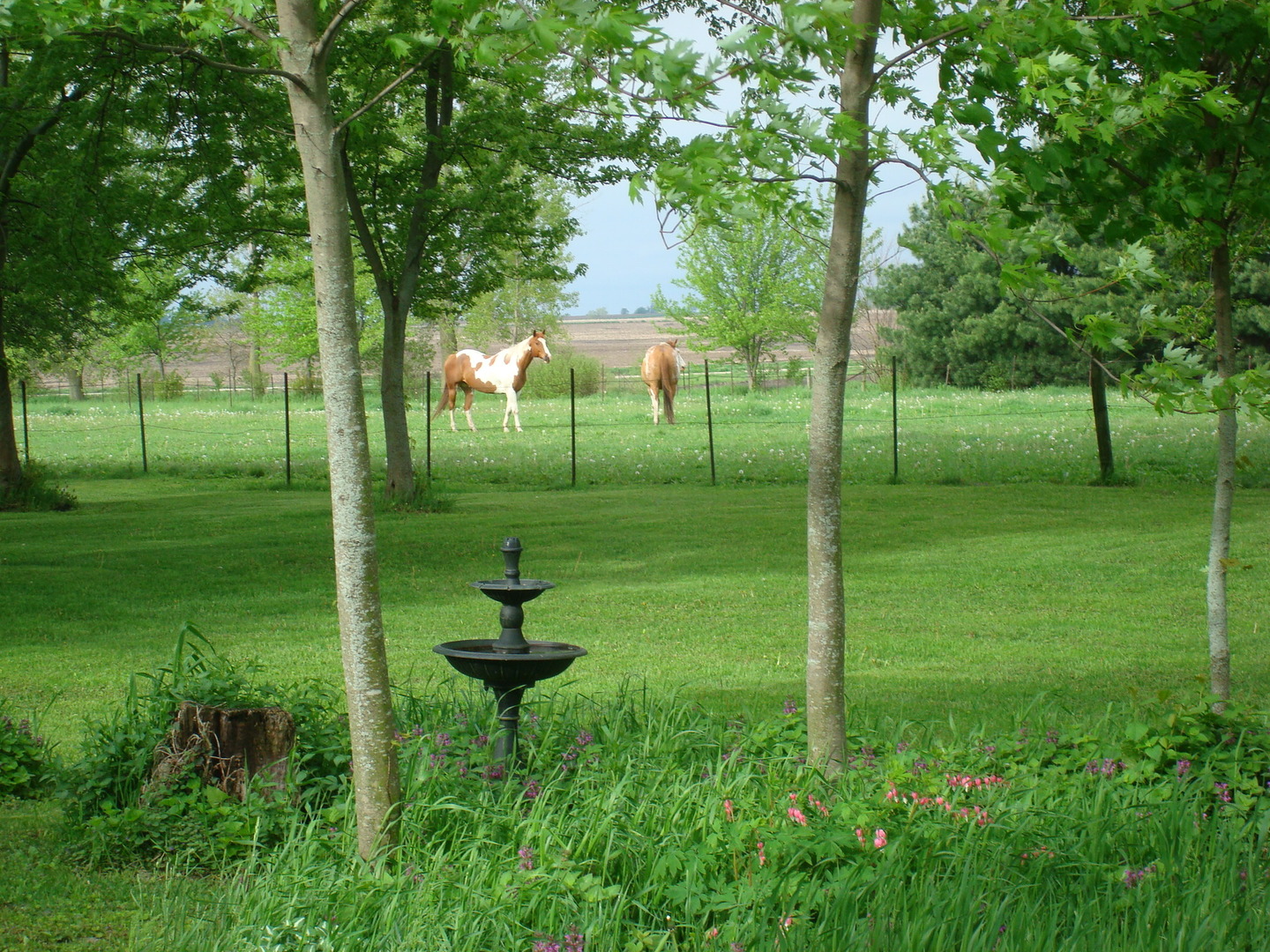 1069 South Malta Road Rochelle, IL 61068 - Photo 57 of 66