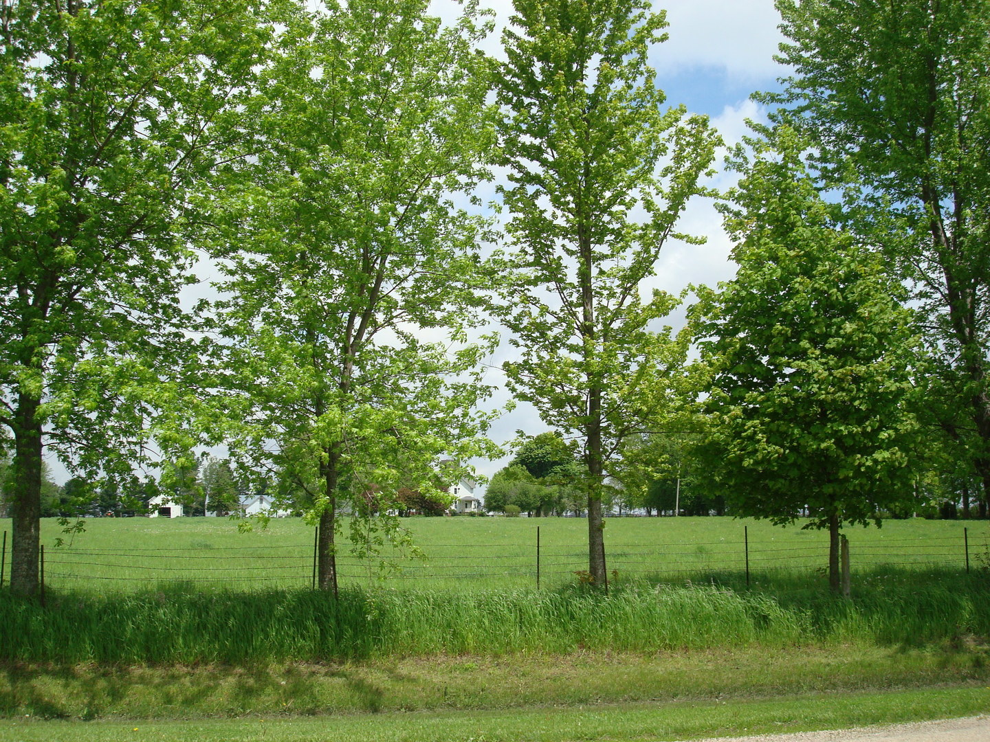 1069 South Malta Road Rochelle, IL 61068 - Photo 60 of 66