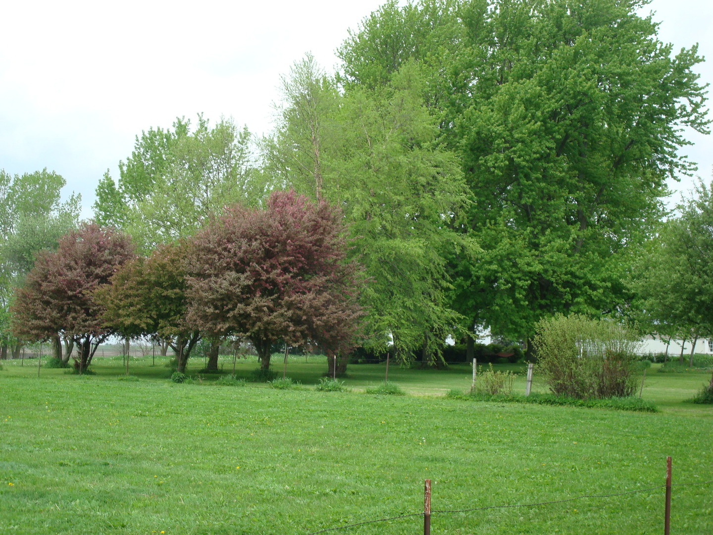1069 South Malta Road Rochelle, IL 61068 - Photo 61 of 66