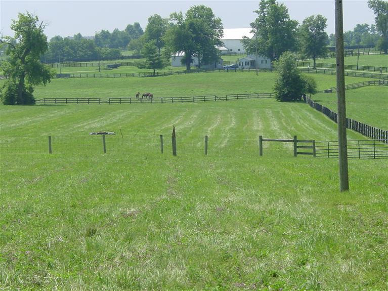 1501 Bethlehem Road Paris, KY 40361 - Photo 8 of 11 Photo 8