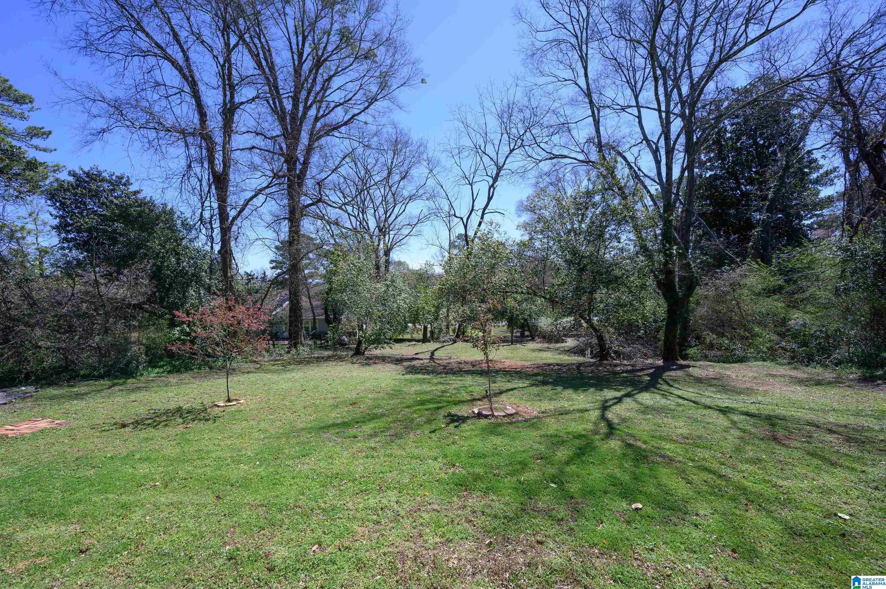 913 Shades Crest Road Birmingham, AL 35226 - Photo 47 of 65